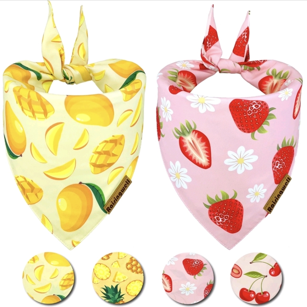 Raisingwell Pet Fruit Print Bandana Set-Yellow and Pink Reversible Size: XL